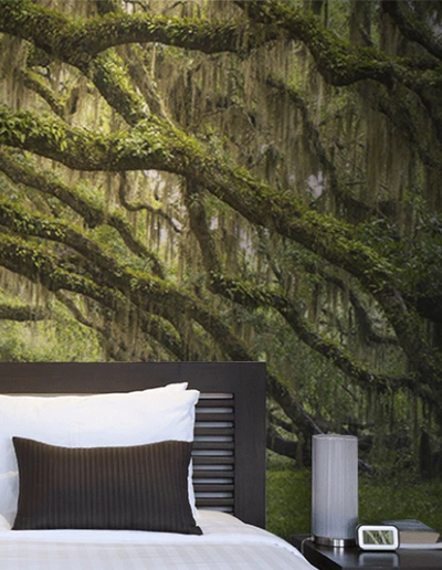 FALLING FOR FALL: DISCOVER THE SEASON'S MOST WONDROUS WALLPAPER TRENDS