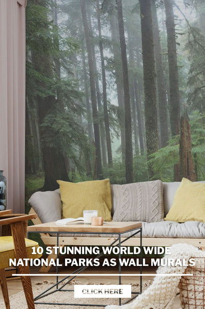 10 Stunning World Wide National Parks as Wall Murals